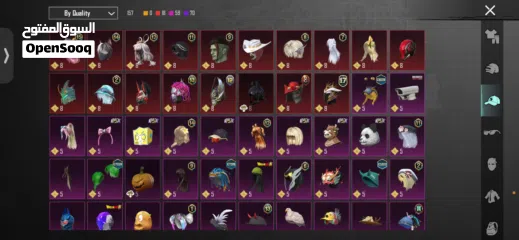  10 Pubg account 10BD 51 collection