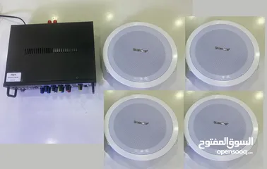  6 نظام صوتيات شامل التركيب