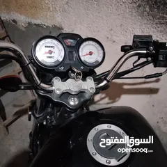  7 هاوجين 3   ارنبه