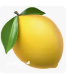  4 خل تفاح مركز ميه بالميه