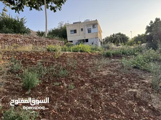  8 مزرعه للبيع / عجلون / رأس منيف