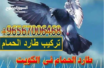 1 طارد الحمام  الكويت