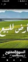  1 أرض للبيع في جفنا