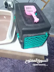  3 عدة قطط كاملة للبيع