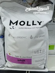  2 اكل قطط kitten molly 2k