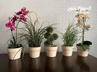  1 5 artificial plants
