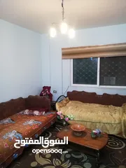  13 شقه ارضيه مع ترس خلف مخابز اشرف شارع 36