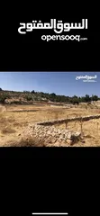  7 دنم ارض للبيع في السلط الصبيحي ميسره بالقرب من مطعم الطلع الغربيه