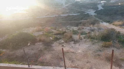  3 قطعة ارض للبيع في طولكرم بلدة فرعون