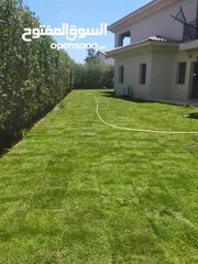  7 نجيل طبيعي وصناعي
