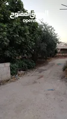  11 منزل مميز للبيع