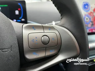  12 BYD SEAGULL 2023