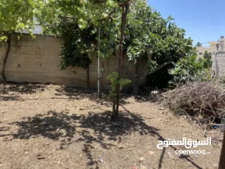  10 ارض مع بناء قائم