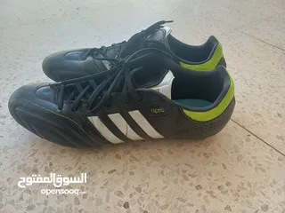  1 حذاء تونى كروس11 برو اديداس
