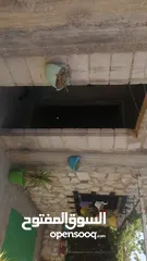  3 بيت للبيع  بسعر مغري