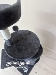  1 بيت للقطط بلون الكحلي جميل جدا يتكون من اربع اشياء