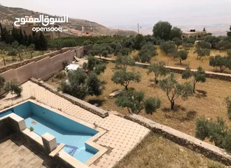  5 مزرعه للبيع في السلط مساحة الأرض 4218م مساحة البناء 450