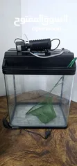  4 Fish Tank with water filter Used and Clean. Filter working condition..