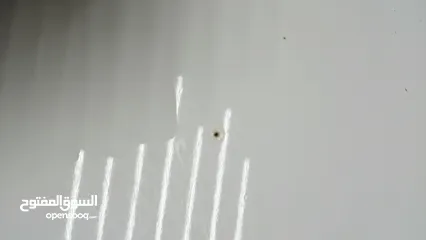 2 طاوله  وسطيه  لون ابيض مستعمله