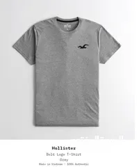  2 Original Hollister t-shirts form Germany 100%