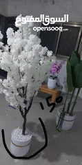  15 شجر زينة وورد صناعي