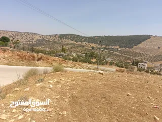  5 أرض للبيع  الكمشه
