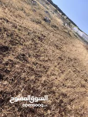  4 الارض للبيع 1235
