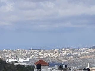  12 بيت جديدغير مسكون مكون من ثلاث طوابق المزرعه الغربيه