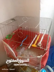  4 اقفاص للطيور واعشاش