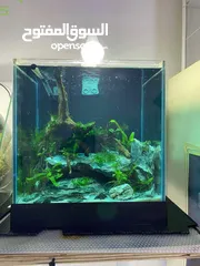  1 PLANTED AQUARIUM DIFFERENT SIZE AND PRICE