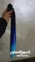  2 جدولة للخذوة المطور اللي معني بدل 100شيكل 50