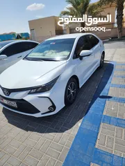  6 Toyota Corolla 2022 White Colour