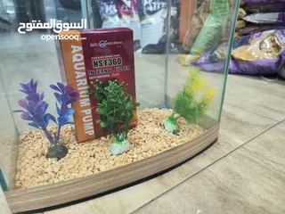  4 حوض سمك مجهز بالكامل ، بس حط سمكاتك الطول 32سم العمق 21 ارتفاع 29 سم
