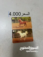  10 للبيع 12000 بطاقة هواتف