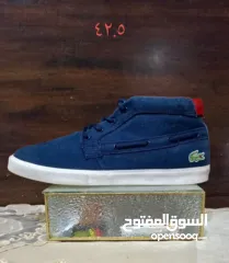  14 شروه احذية 60 جوز اصلي اوروبي منضف معقم جاهز للبيع