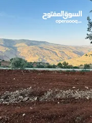  5 أرض مميزه _الصبيحي _ بيوضه الشماليه