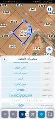  1 للبيع قطعة أرض 1 دونم في الذهيبه الشرقيه شارعين