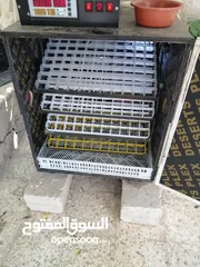  2 فقاسه للبيع 352 بيضه