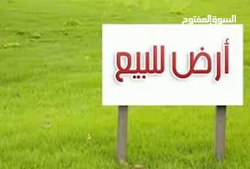  1 مزرعة للبيع المساحة 46 دونم العنوان البادية الجنوبيه  الارض مستويه وصالحة للزراعه