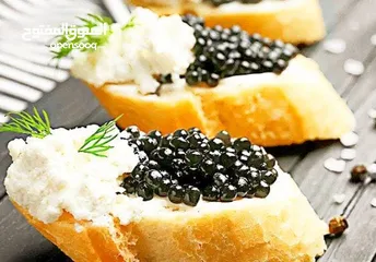  2 Exquisite Dubai Caviar: A Taste  our premium caviar