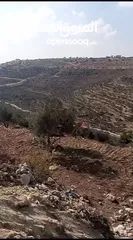  1 ارض للبيع في ضاحية الريحان