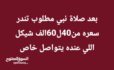  2 مطلوب تندر  ضفه من50ل60الف وكل اشي حسب سويته اللي عندو يبعث