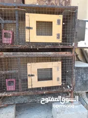  6 اقفاص طيور وارانب