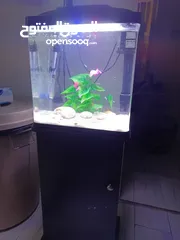  2 حوض سمك كامل+ توصيل و تركيب  Fish tank+Delivery and setup