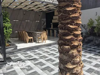  16 شاليه البحر الميت اول الراما جديد وفخم ومميز للايجار اليومي اوشهري او سنوي