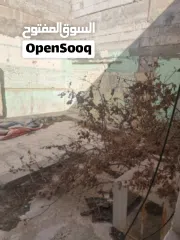  9 منزل قديم للبيع