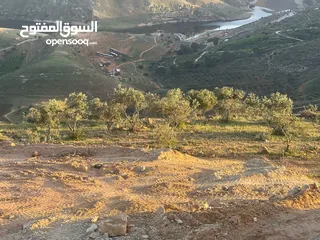  9 ارض للبيع جرش المجدل راس دبوس مطله على سد الملك طلال مستويه مستصلحه بسعر مغري