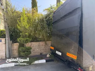  7 افيكو ديلي