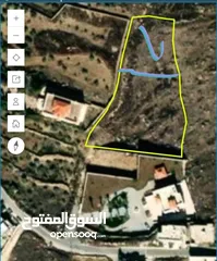  1 ارض مساحة دونم