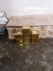  8 مطلوب شريك ممول لمعمل اجبان  يعمل بشكل جيد